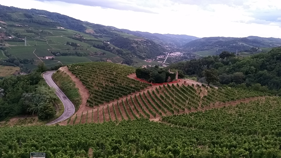 Moscato D'Asti