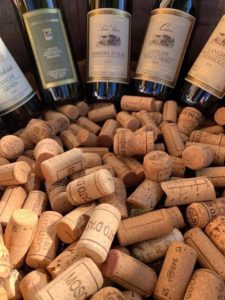 Back to Barolo Piemonte Italy Food Wine Tour Roger Bissell