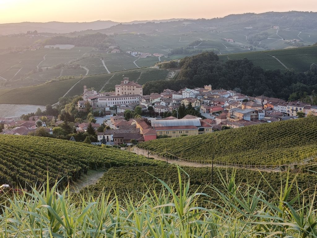 Barolo view
