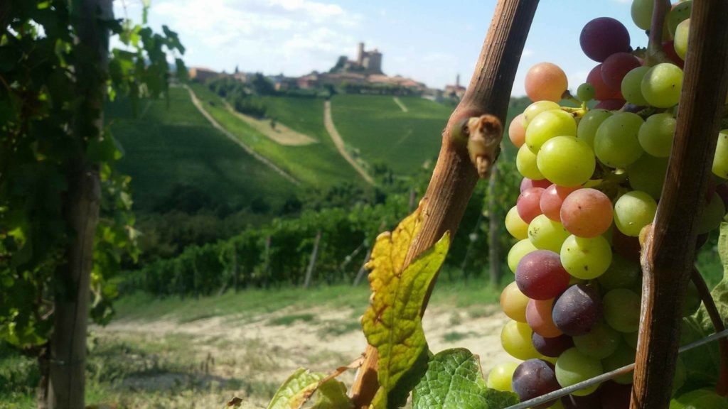 A view of the Castle of Serralunga in Piemonte